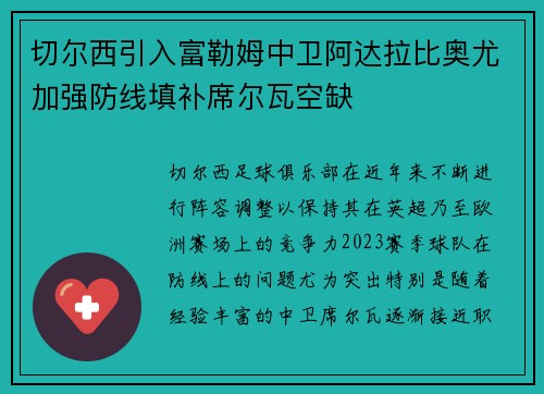 切尔西引入富勒姆中卫阿达拉比奥尤加强防线填补席尔瓦空缺 切尔西引入富勒姆中卫阿达拉比奥尤加强防线填补席尔瓦空缺